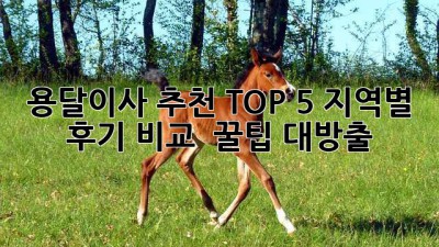 📦 용달이사 추천 TOP 5! 지역별 후기 비교 & 꿀팁 대방출🍯